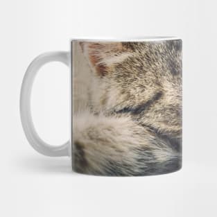 sleeping cat Mug